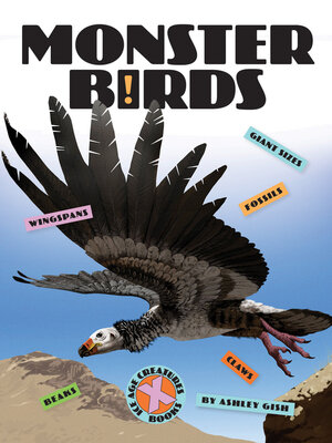 cover image of Monster Birds